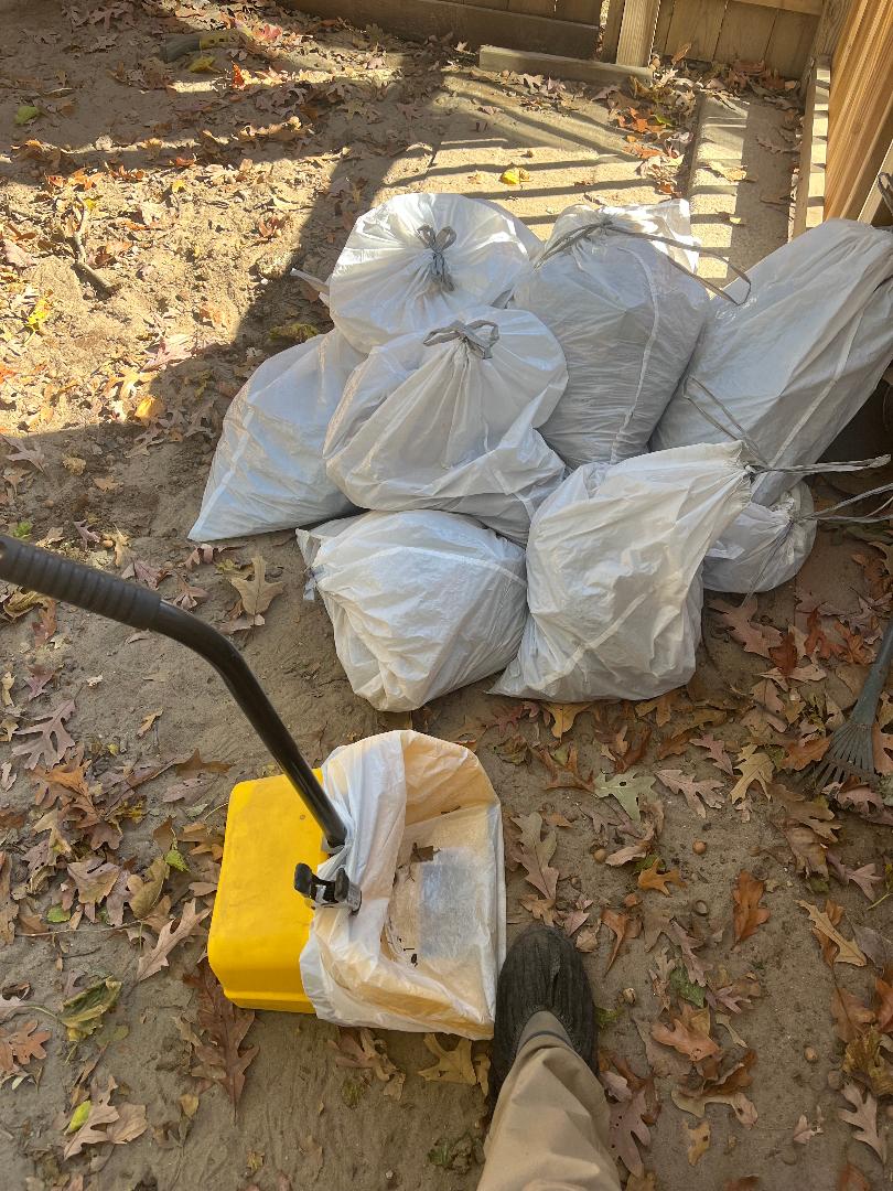 Pooper Scooper Squad - Photo 4