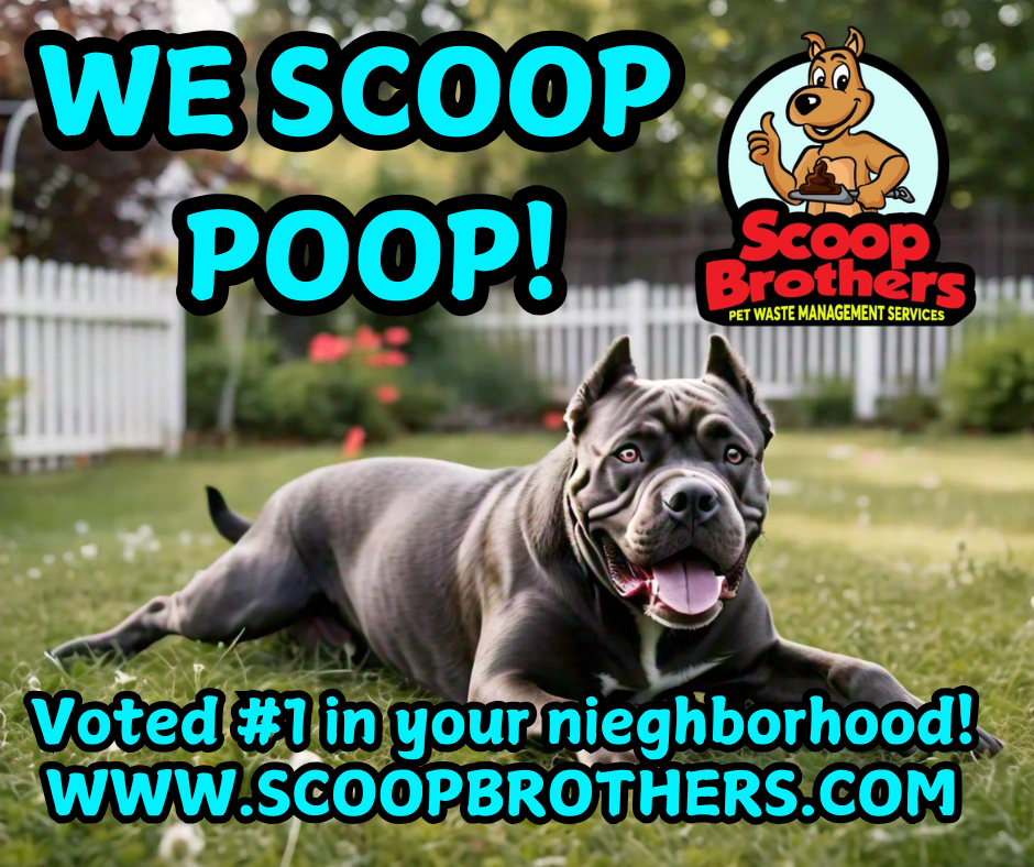 Scoop Brothers Columbia - Photo 2
