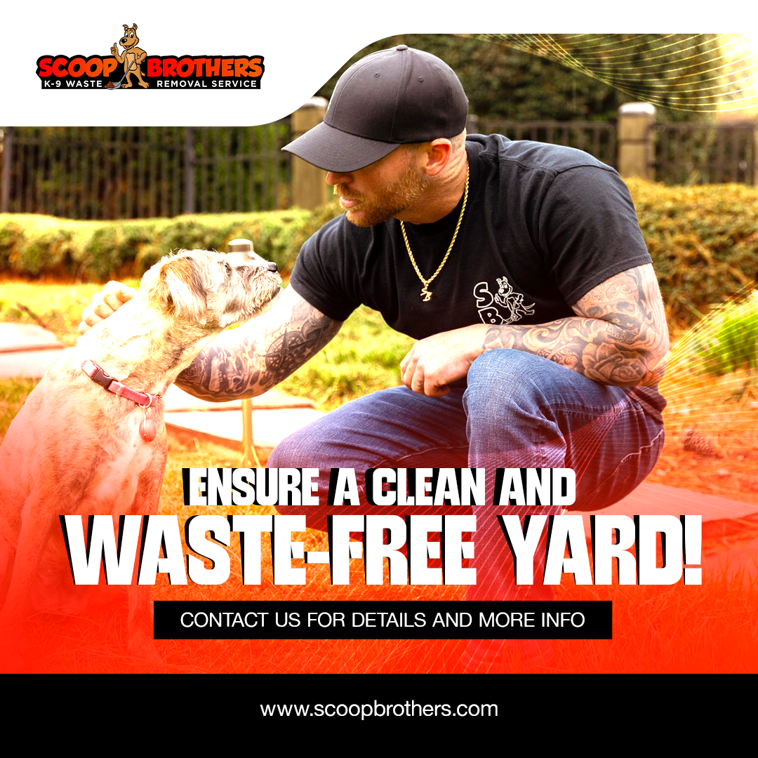 Scoop Brothers Columbia - Photo 4