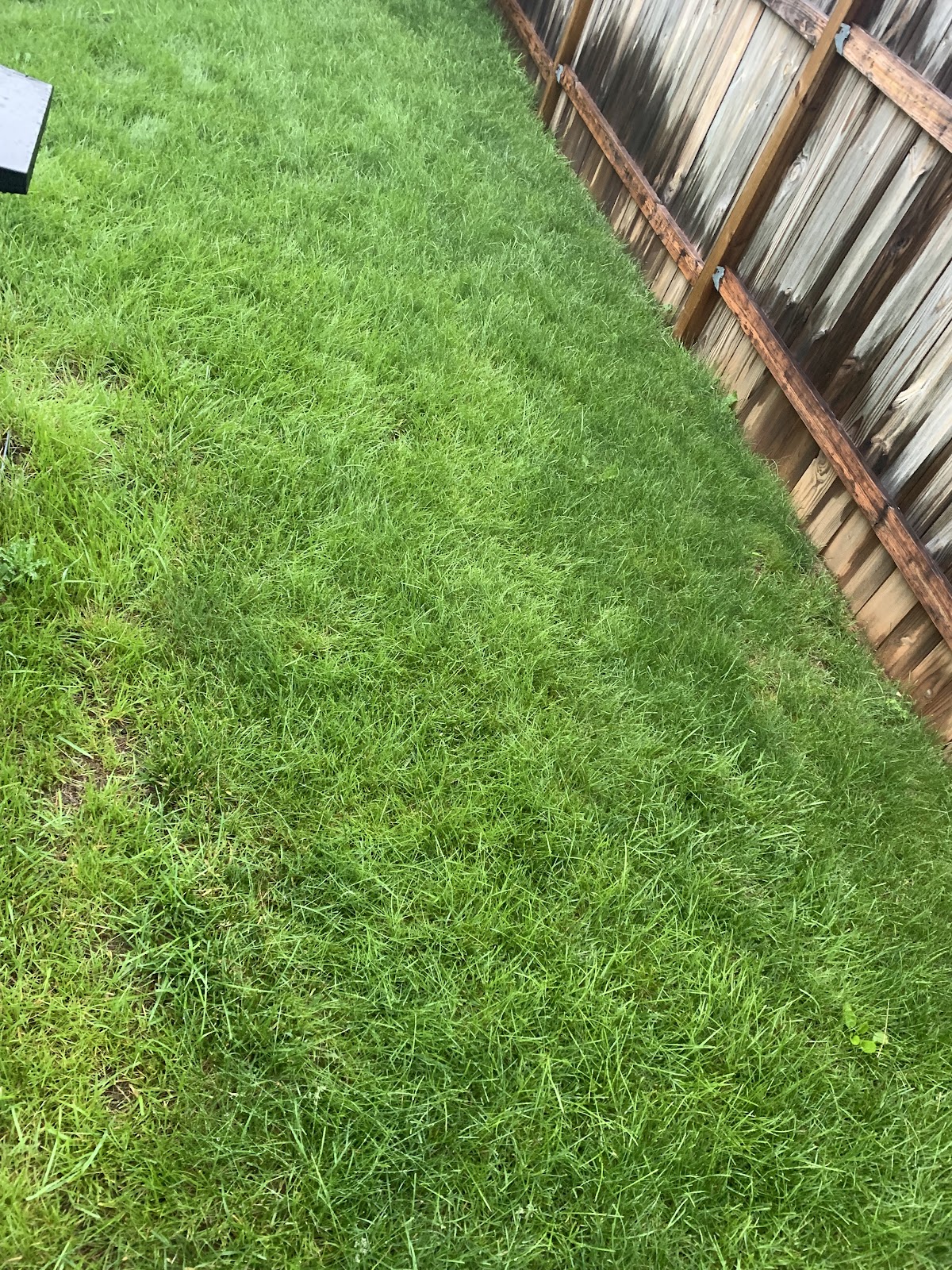 Fetch and Dispose - Photo 2