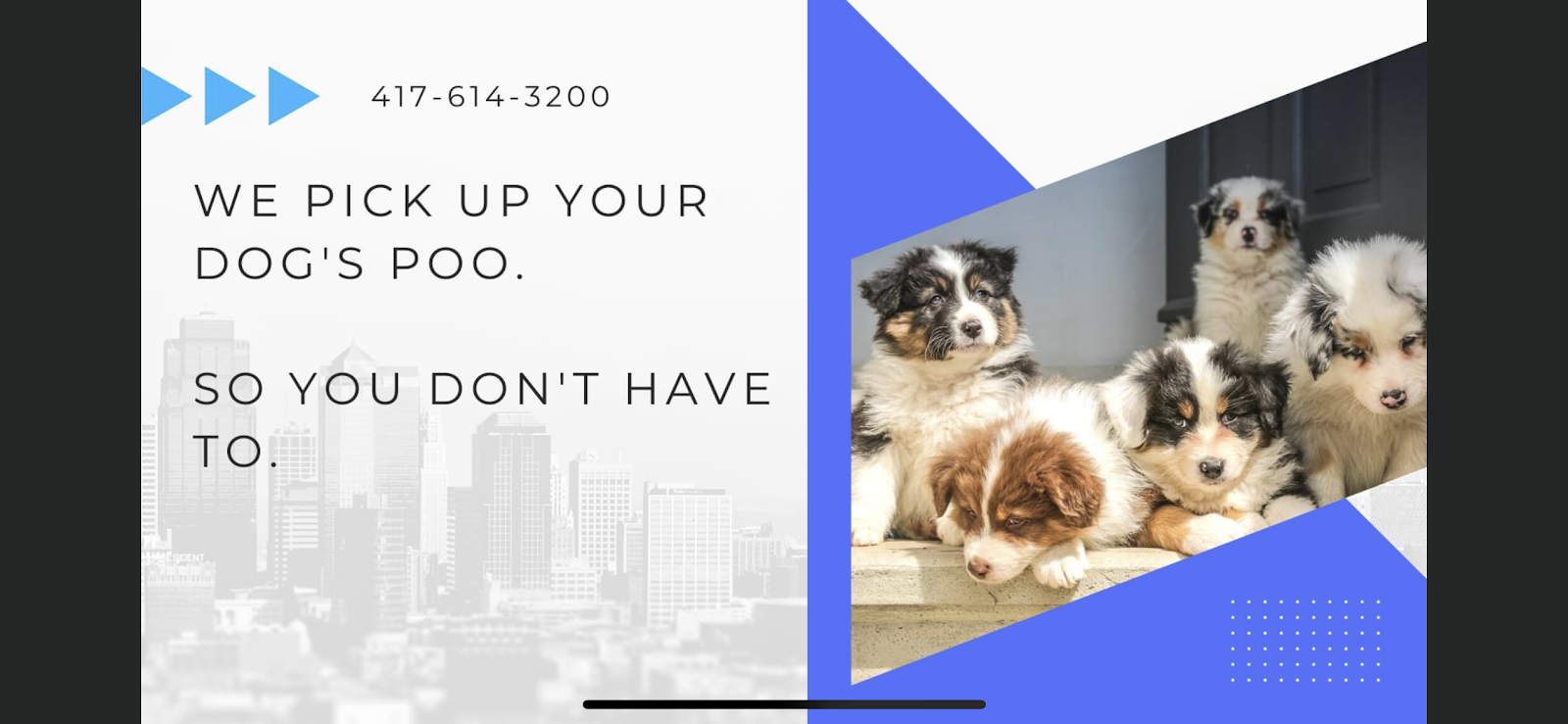 Pet Poo Pickups - Photo 3