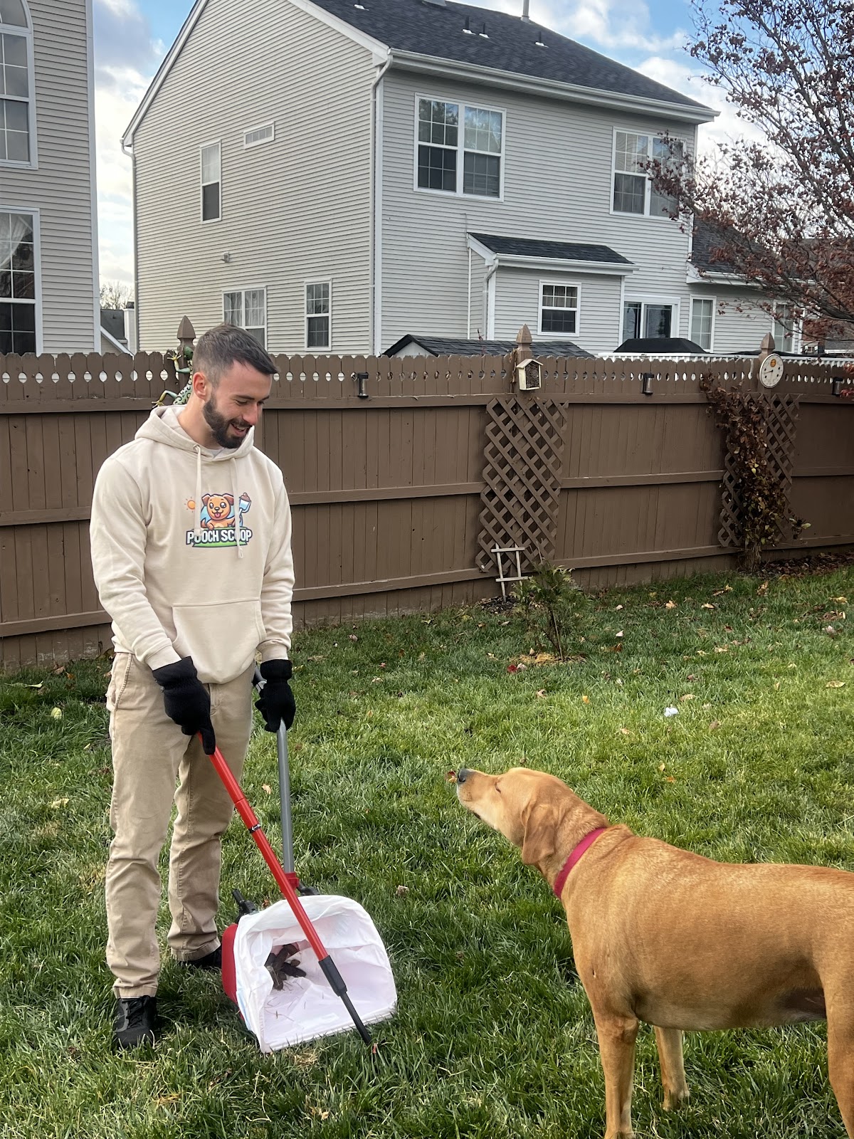 Pooch Scoop - Photo 3