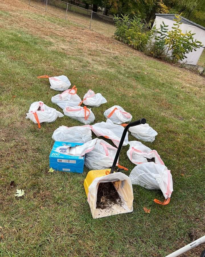 Best of Buddies Pet Care - Dog Poop Scooping - Pet Sitter - Pet Waste Removal - Dog Walker