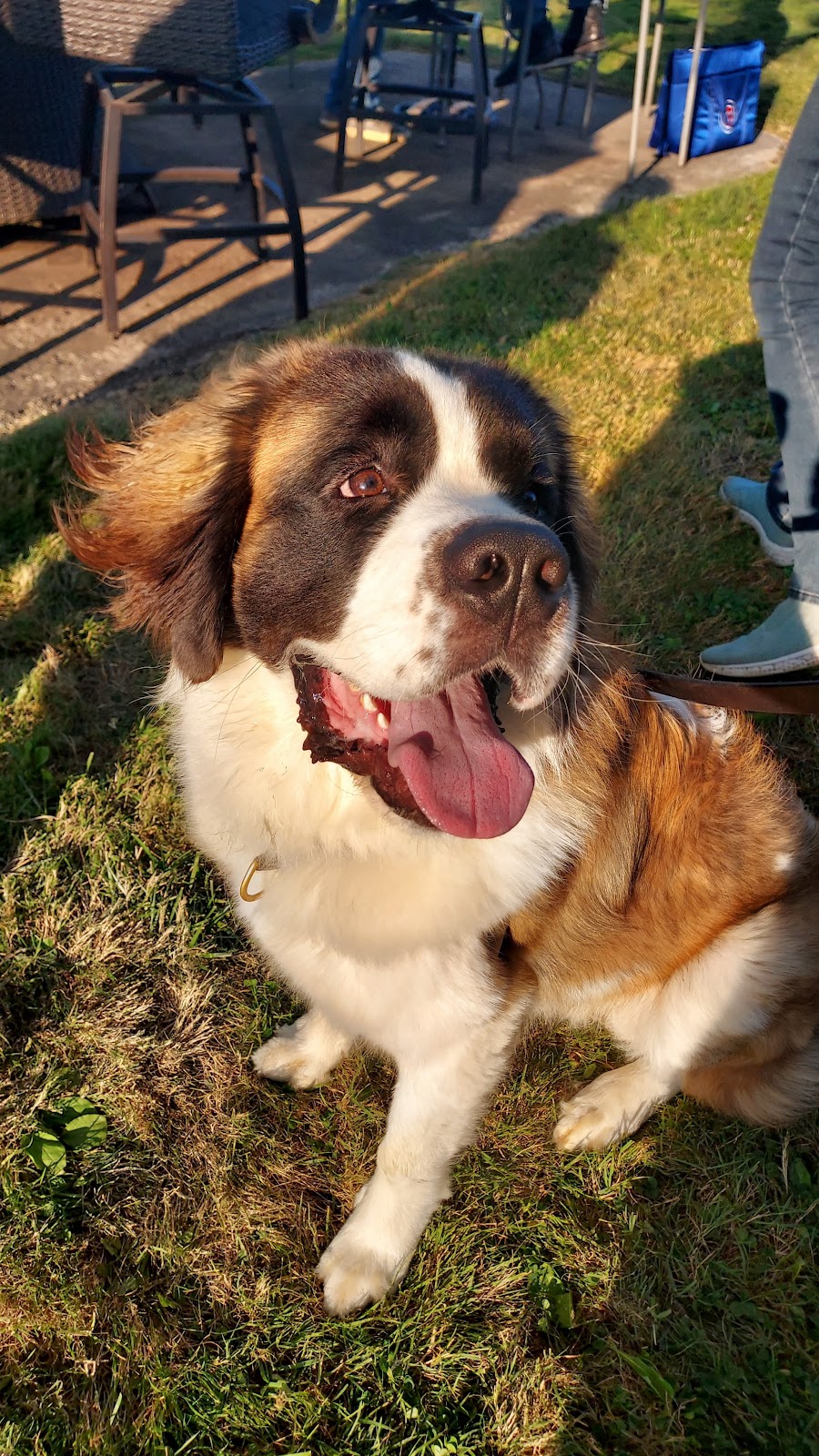 Scoop-N-Zoom - Photo 2