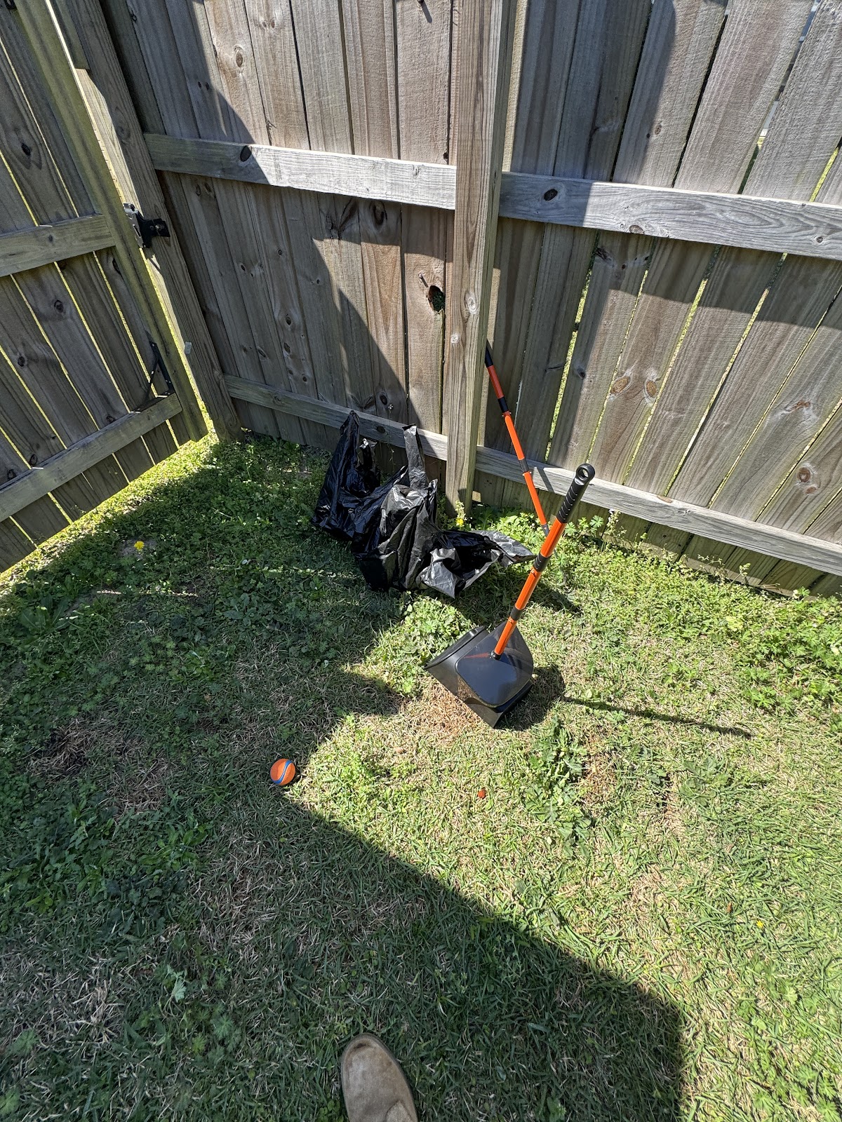 Scoop-N-Zoom - Photo 3