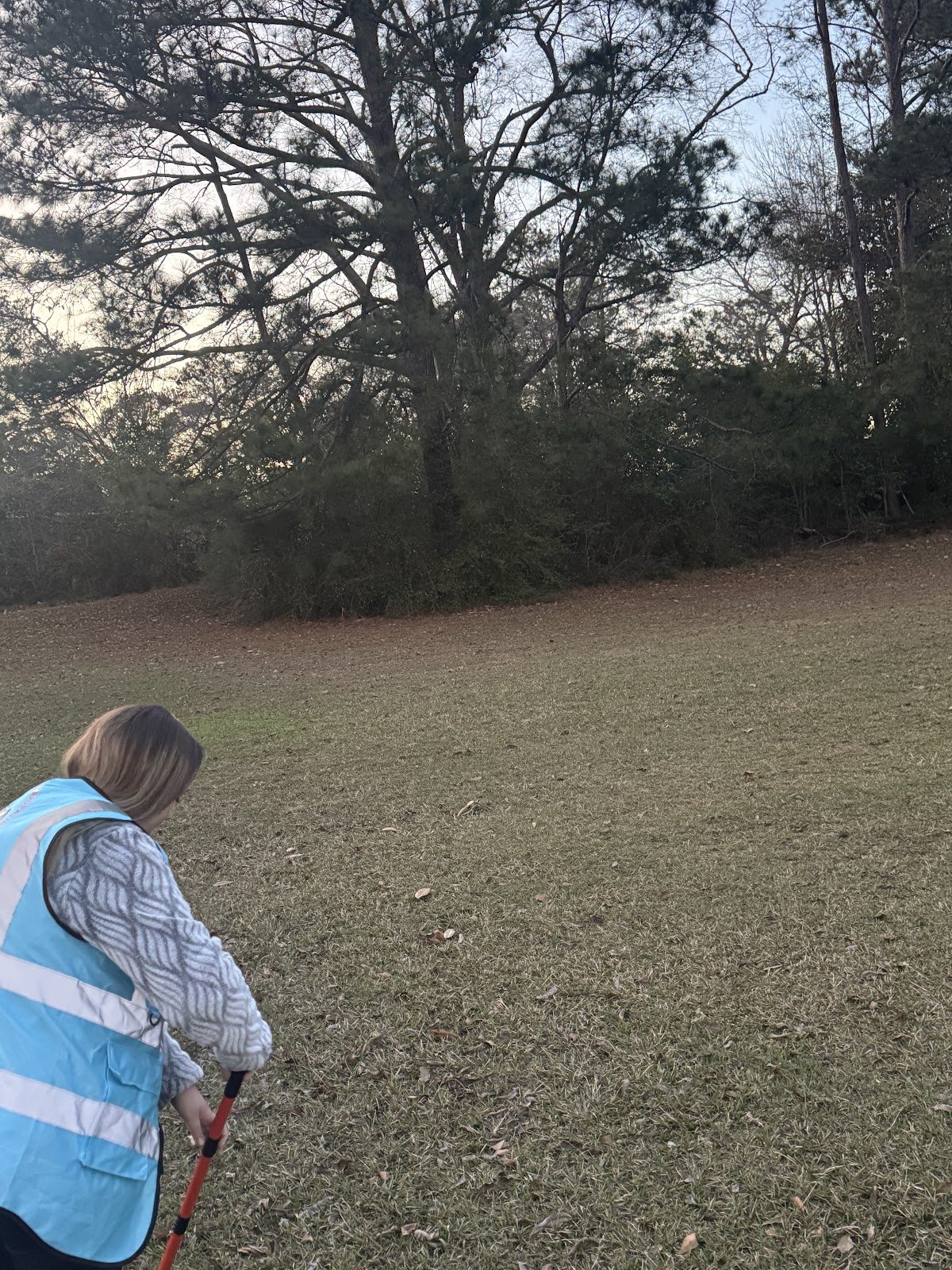 Scoop-N-Zoom - Photo 4