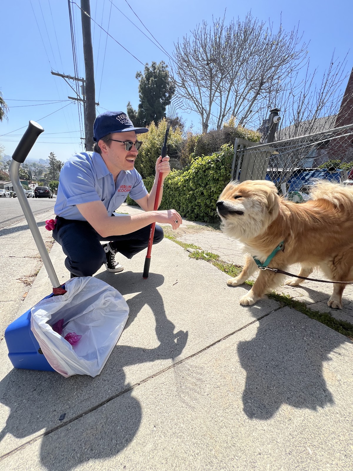 Sterling Scooper - Photo 2