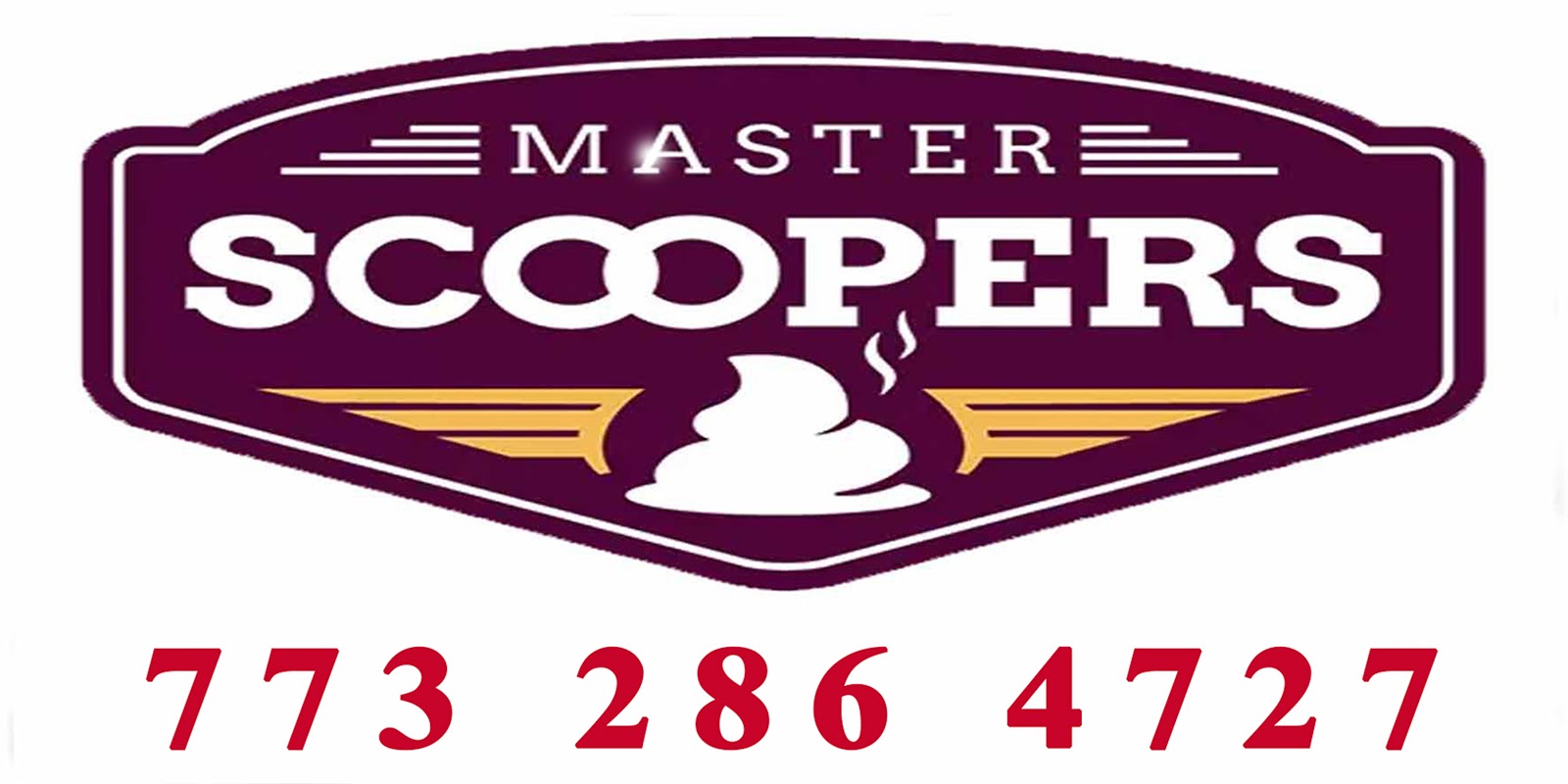 Master Scoopers - Photo 4