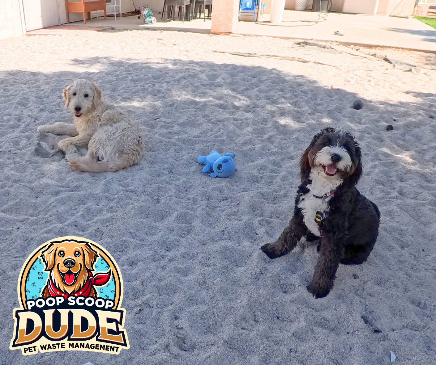 Poop Scoop Dude, LLC - Photo 2