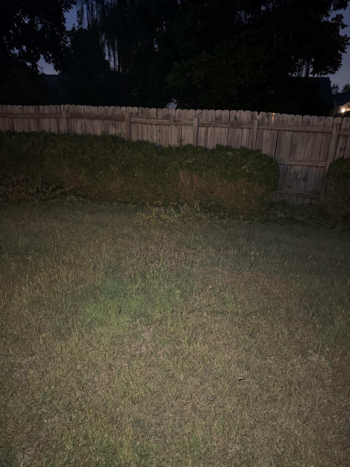 Indy Pet Waste Removal LLC - Photo 2