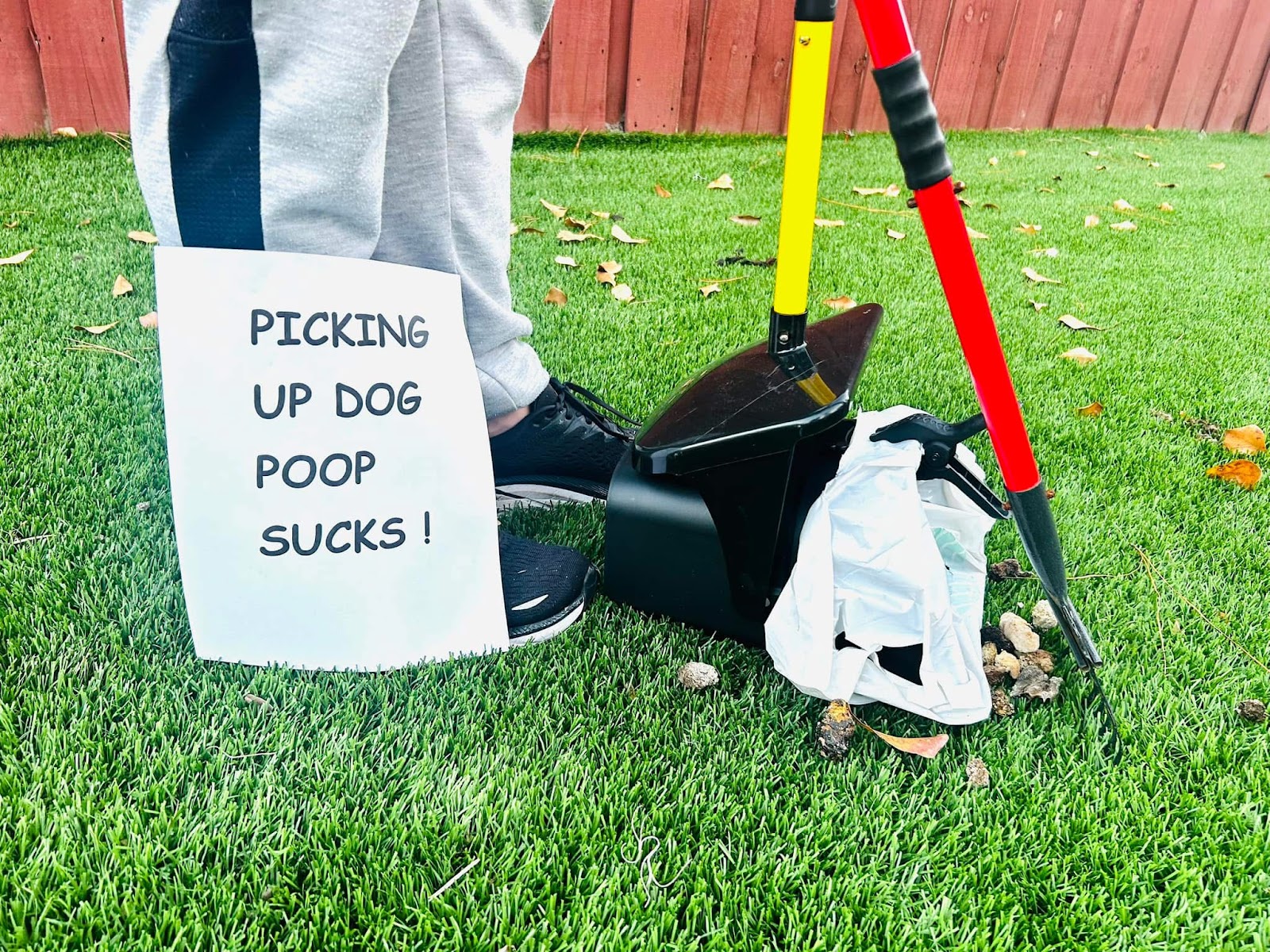 Doggy Waste Management