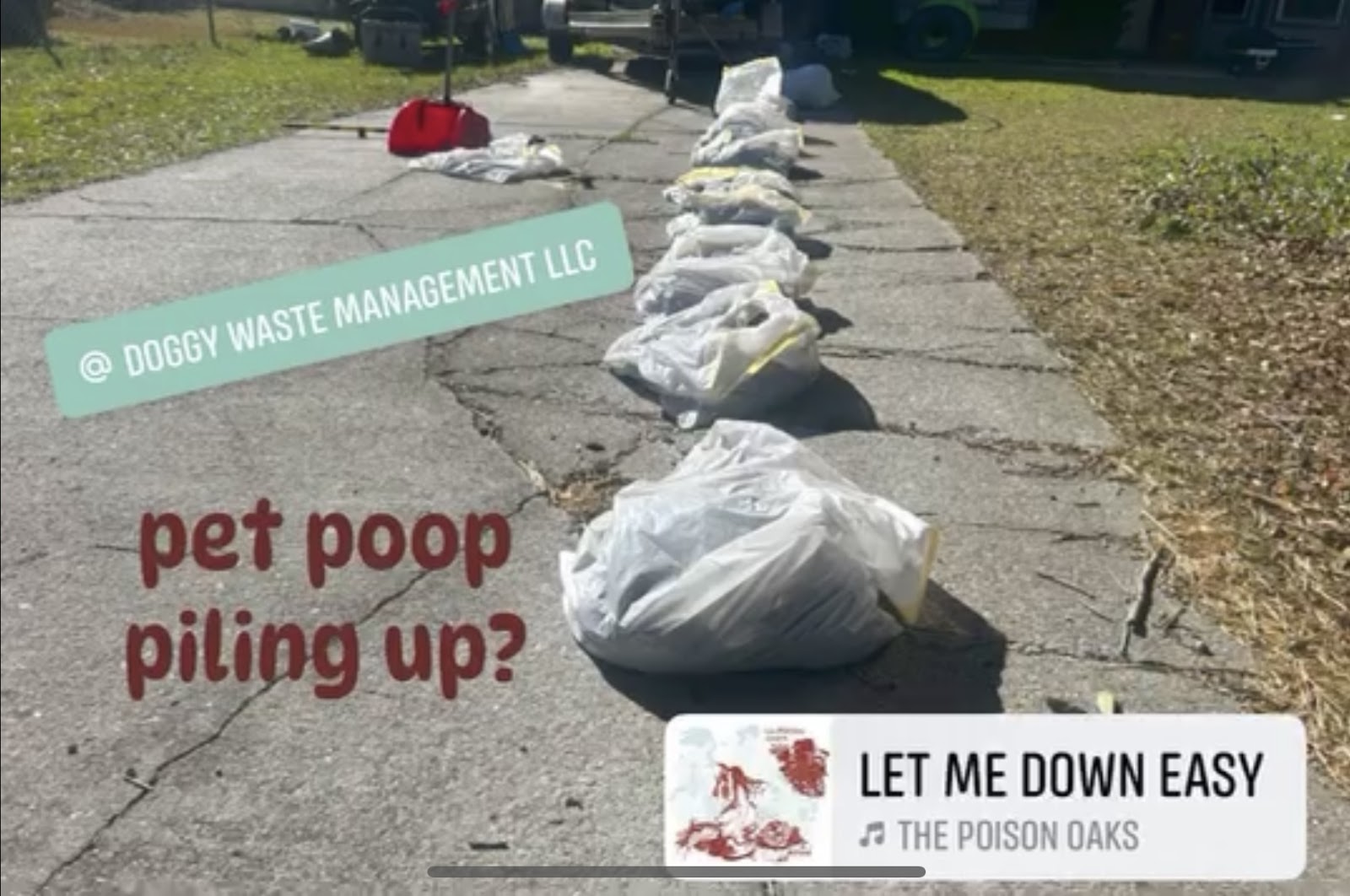 Doggy Waste Management - Photo 2