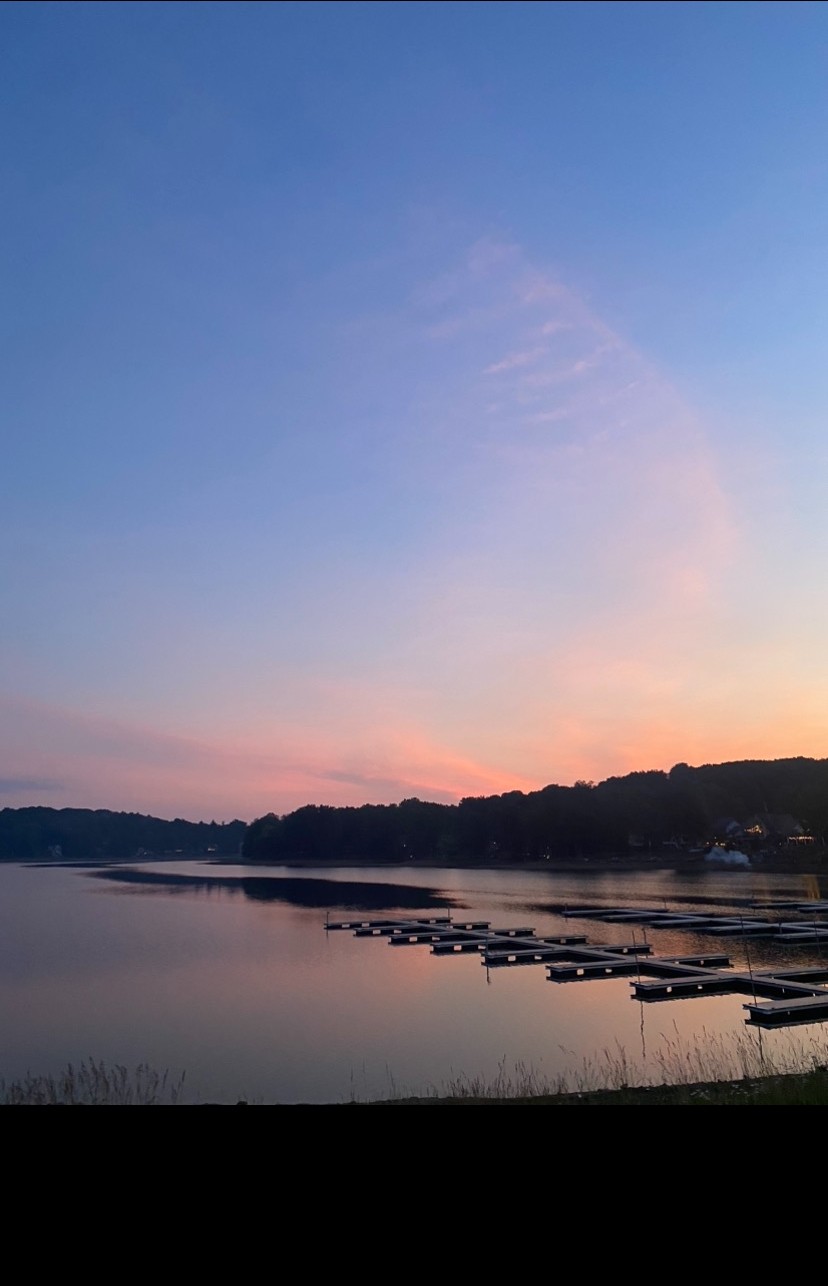 Simply Scoopers Pet Solutions - Photo 2