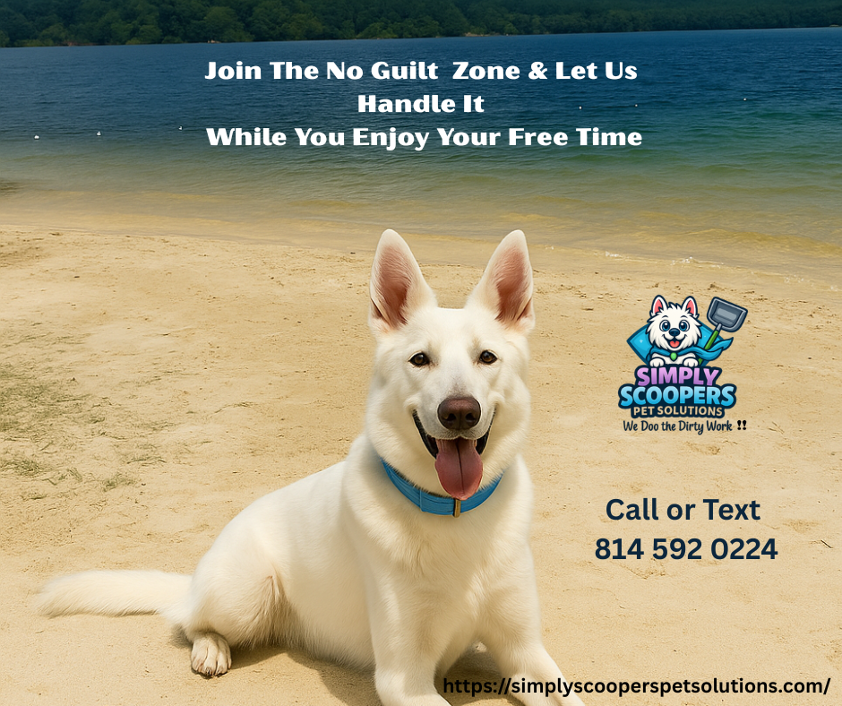 Simply Scoopers Pet Solutions - Photo 4