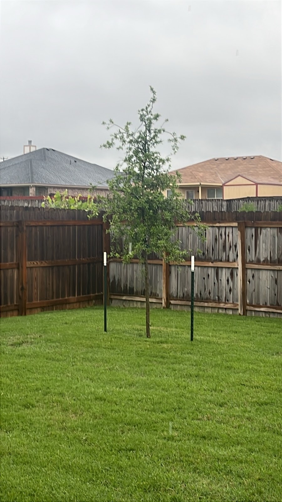 Johnson’s Lawn Doodie Pet Waste Removal - Photo 3