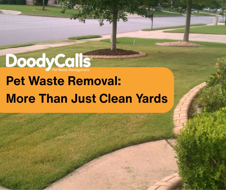 DoodyCalls of Frisco-McKinney - Photo 2