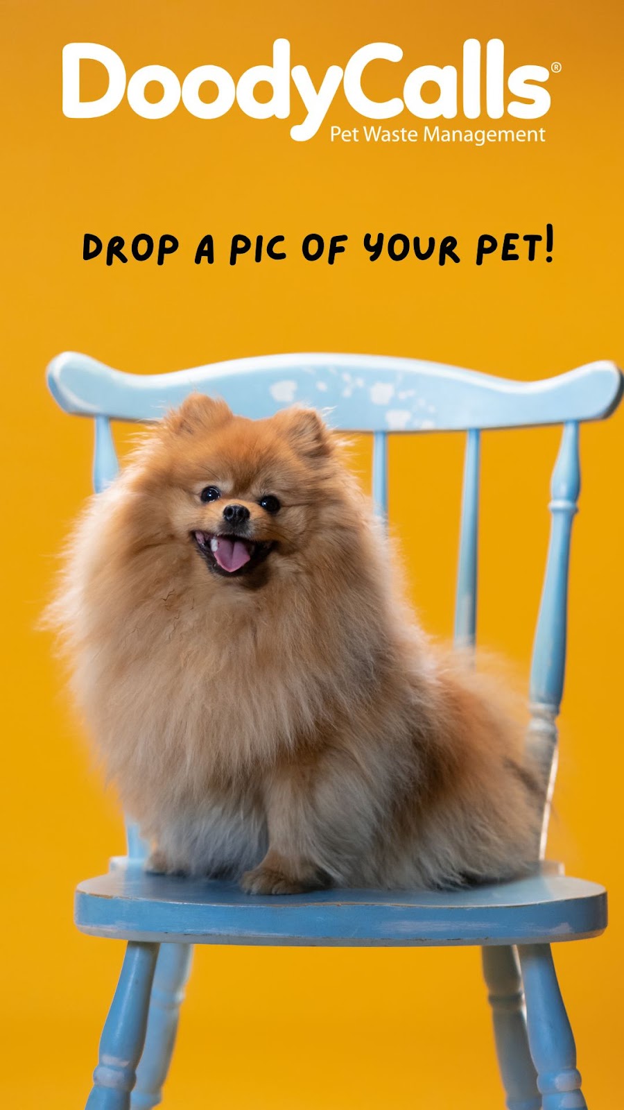 DoodyCalls of Frisco-McKinney - Photo 3