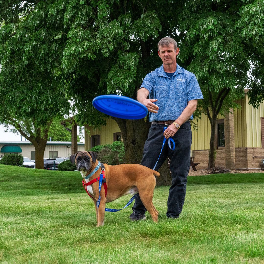 Pet Butler - Photo 4