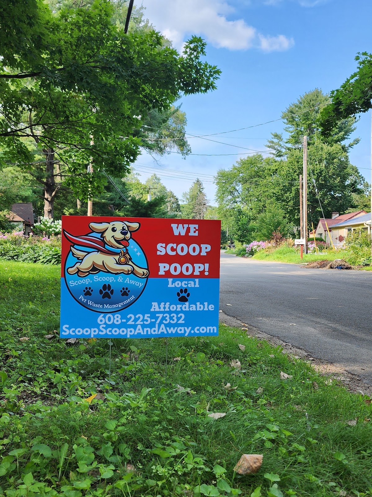 Scoop, Scoop, and Away - Photo 2