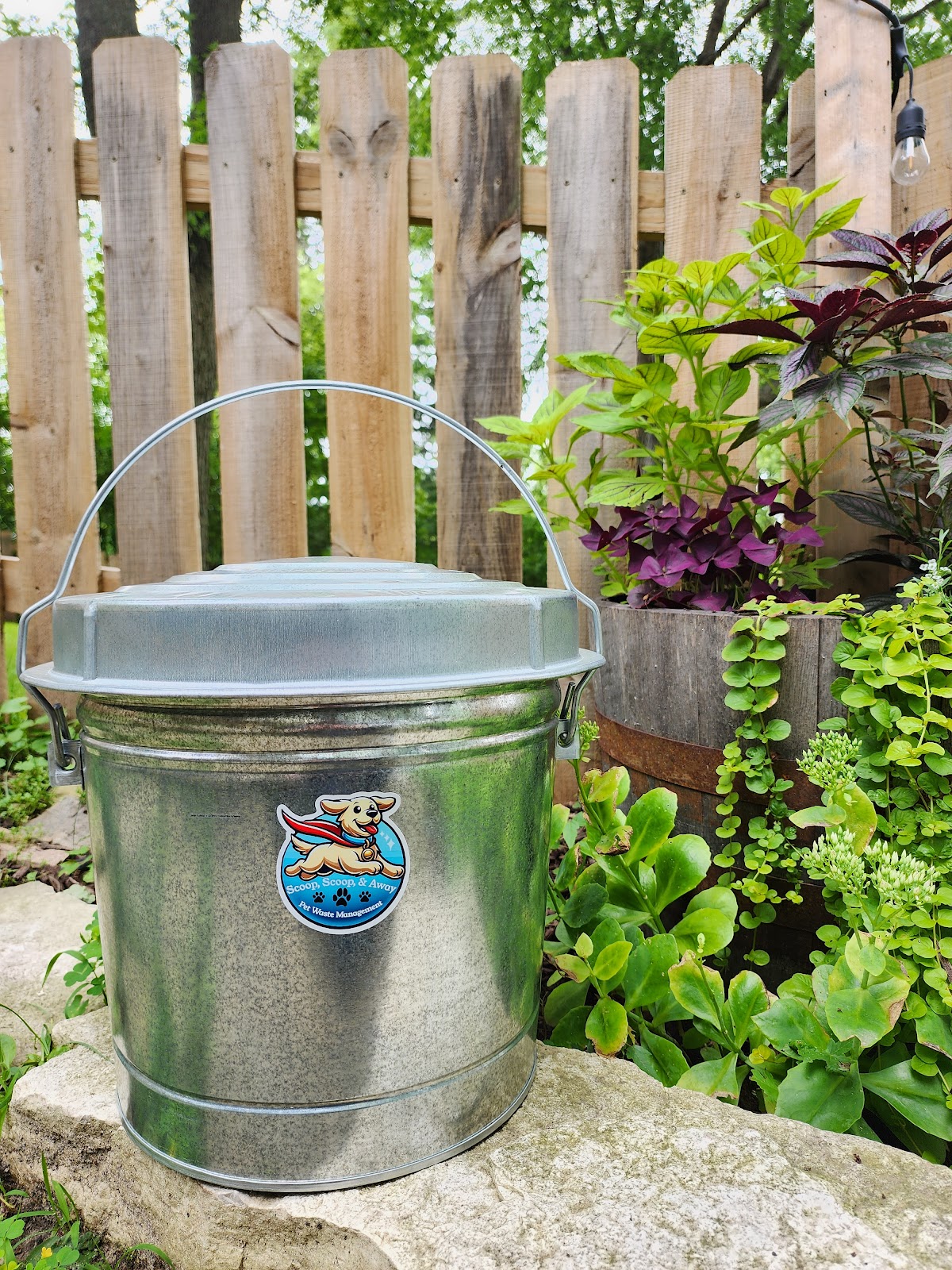 Scoop, Scoop, and Away - Photo 4