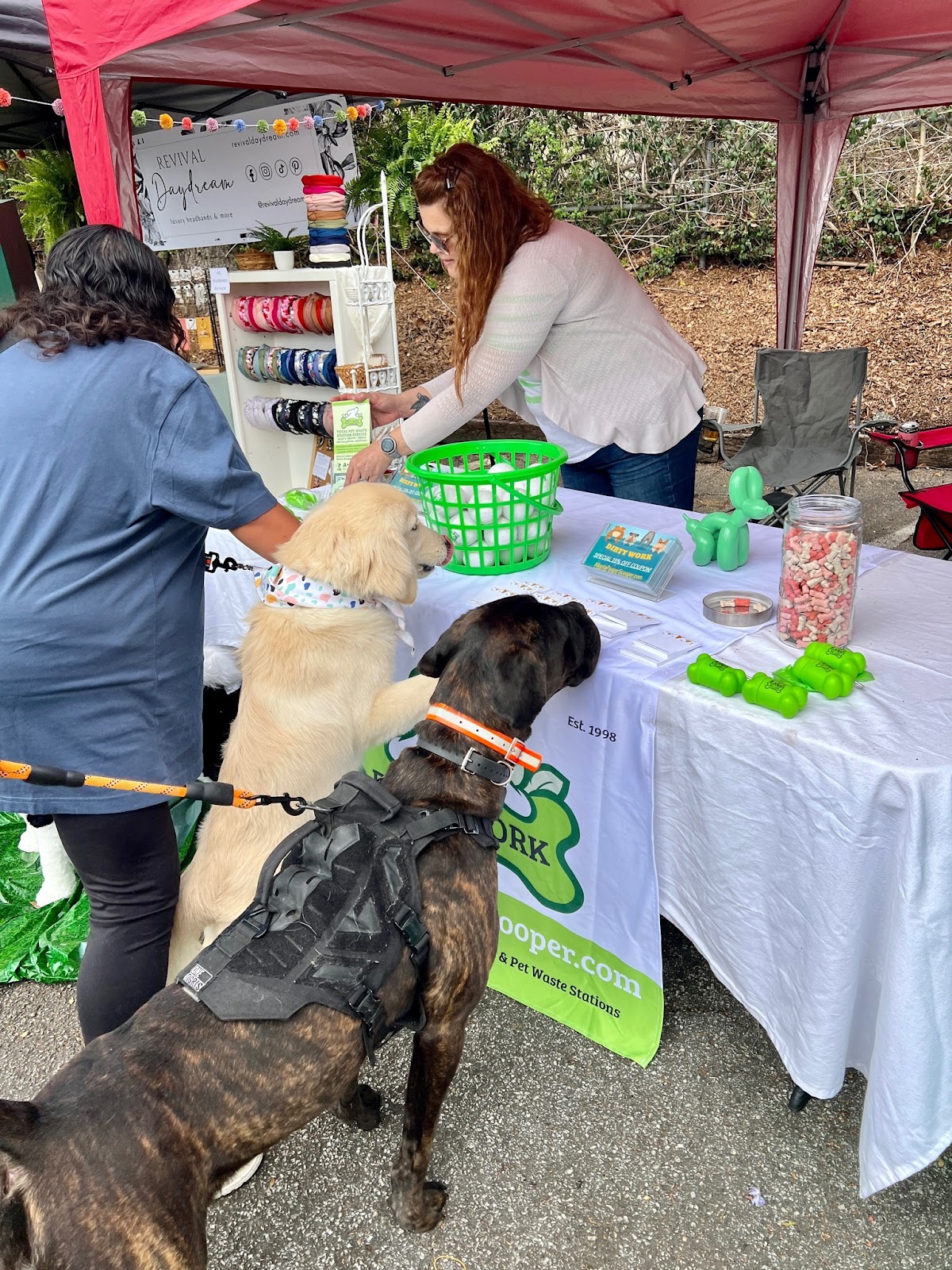 Dirty Work Pet Services, LLC - Photo 4