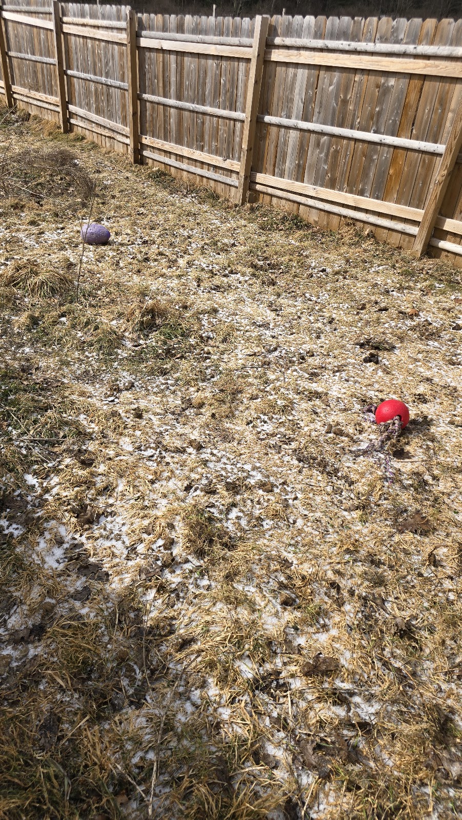 Super Scoopers NY - Photo 2