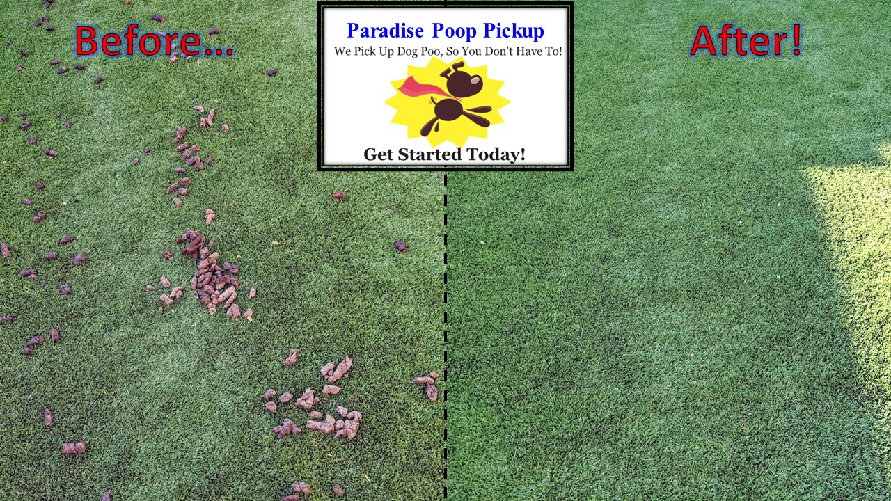 Paradise Poop Pickup