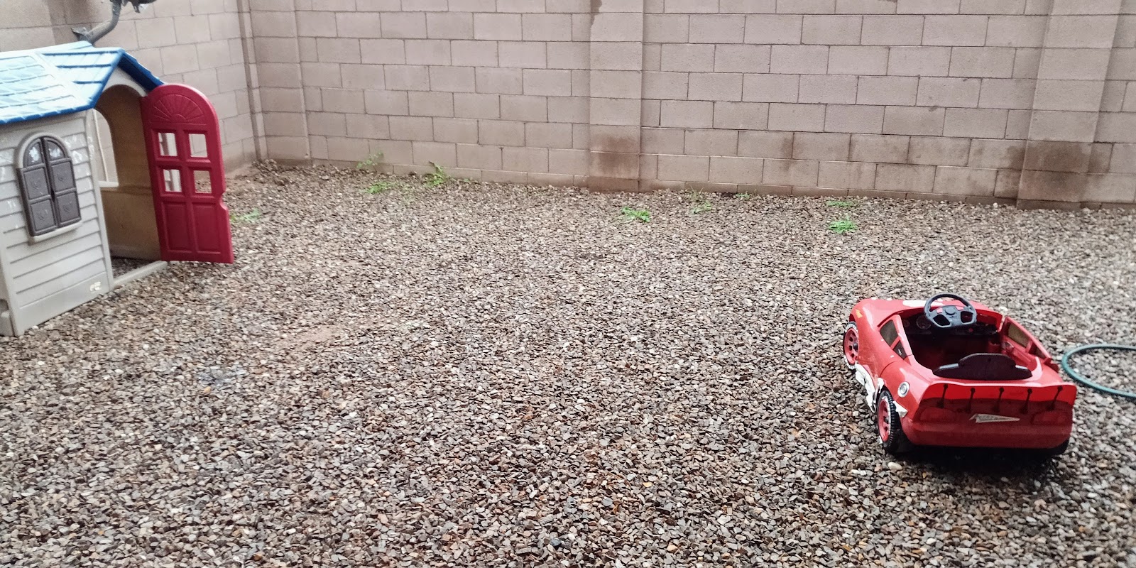 Paradise Poop Pickup - Photo 2