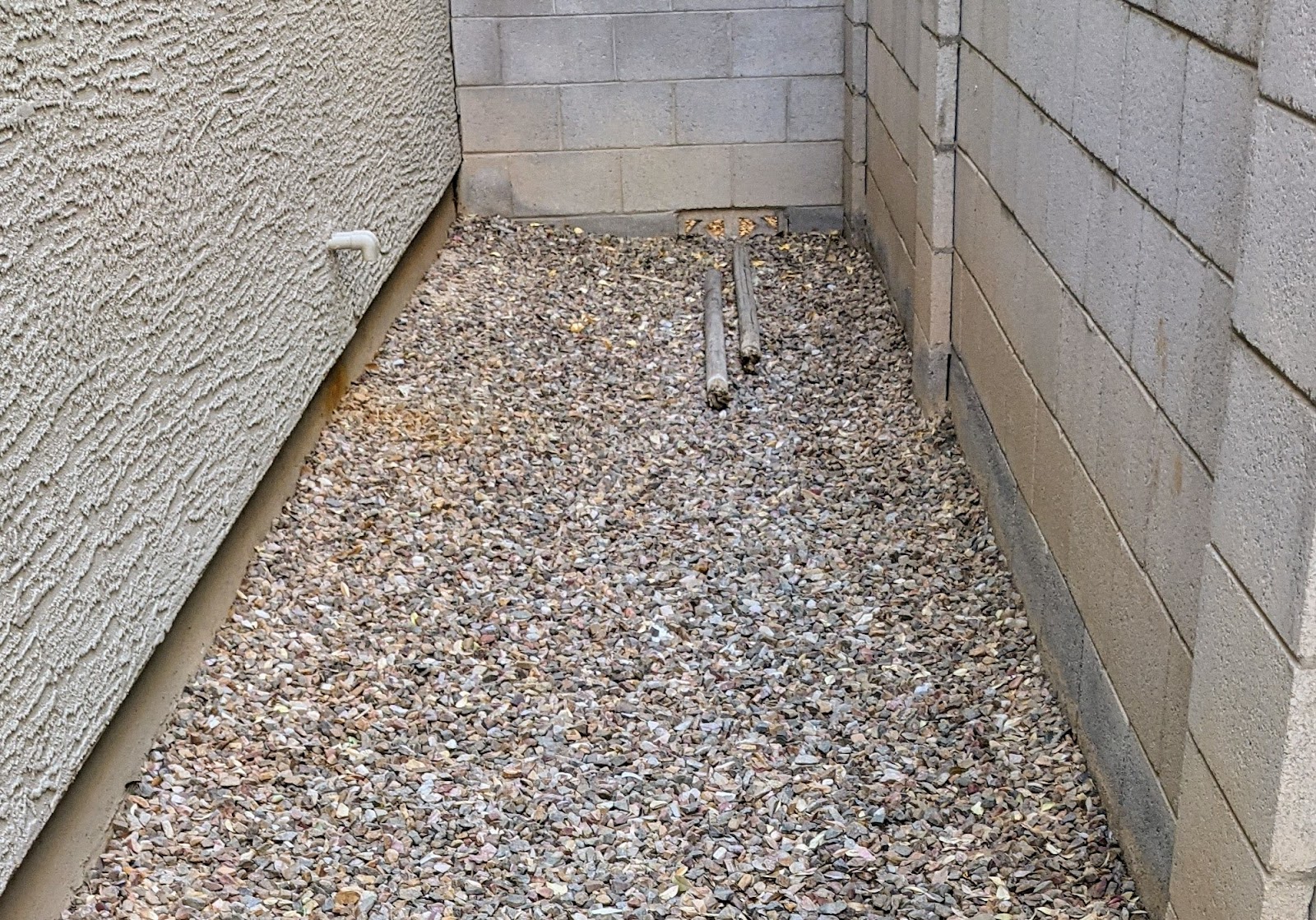 Paradise Poop Pickup - Photo 4