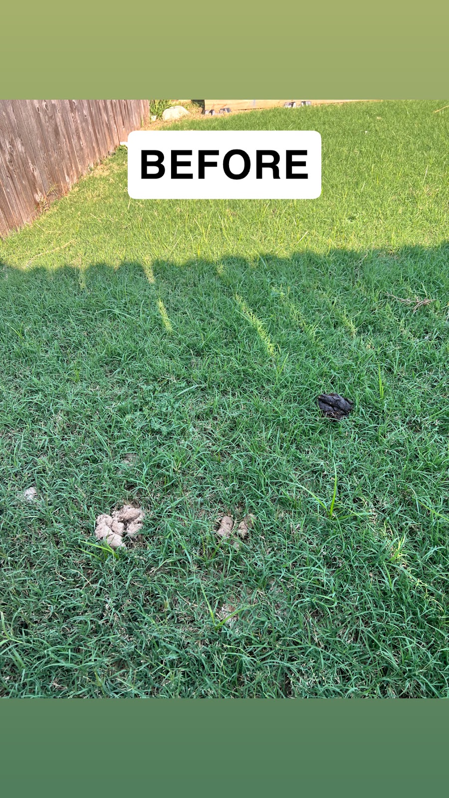 Whiff ‘n Lift - pet waste removal - Photo 2