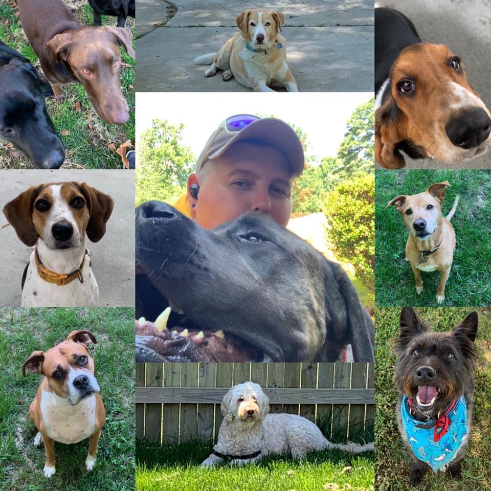 Operation: Doggie Doody