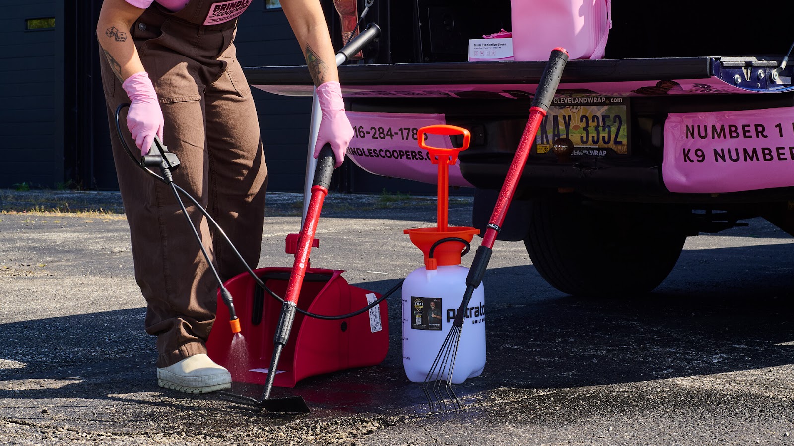 Brindle Scoopers - Photo 3