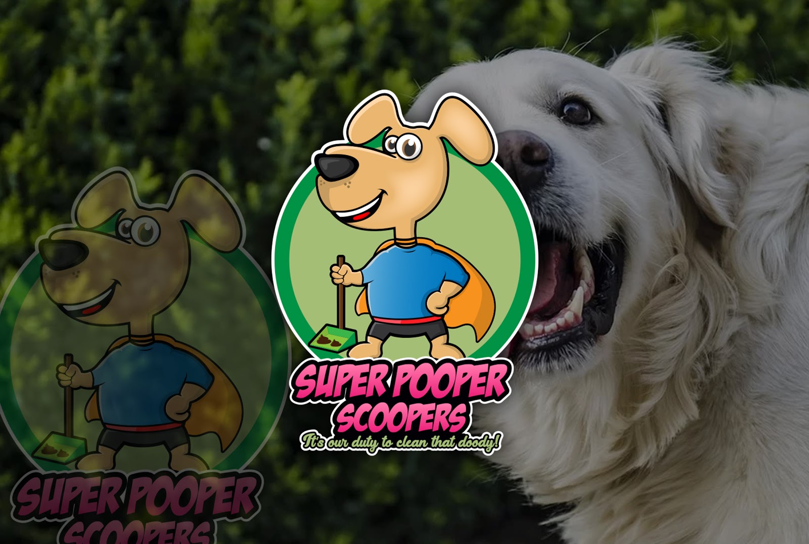 Super Pooper Scoopers
