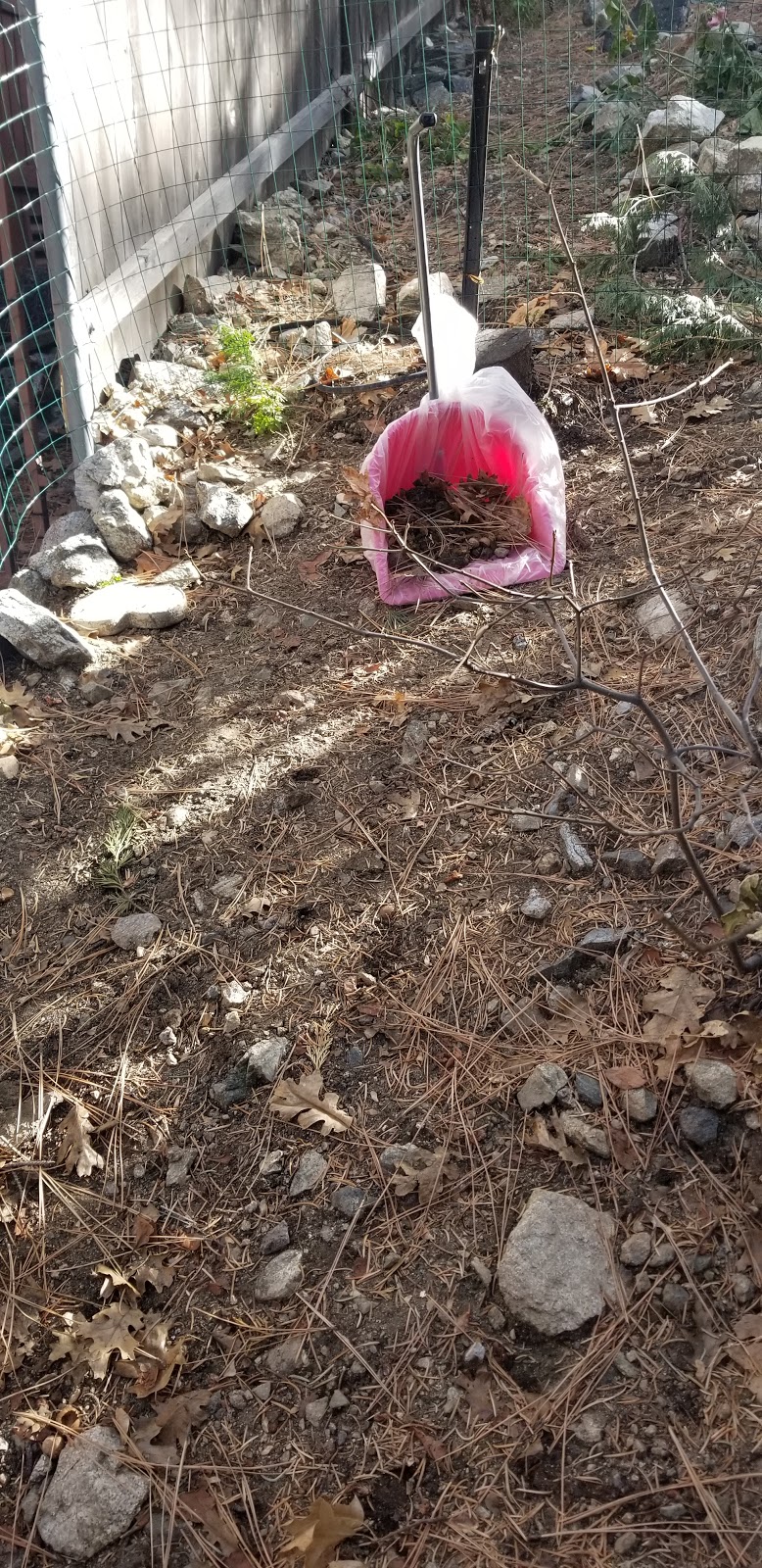 Super Pooper Scoopers - Photo 2