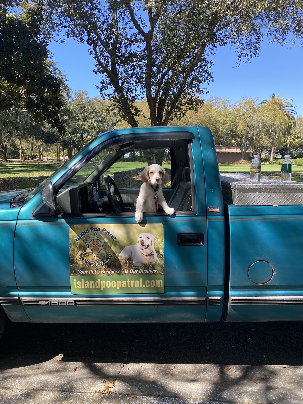 Island Poo Patrol - Photo 2