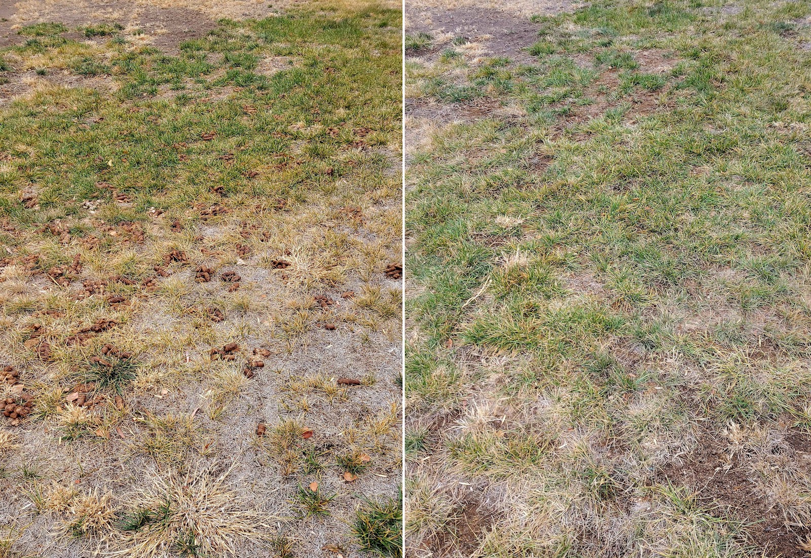 Snake River Scoop Squad - Photo 2