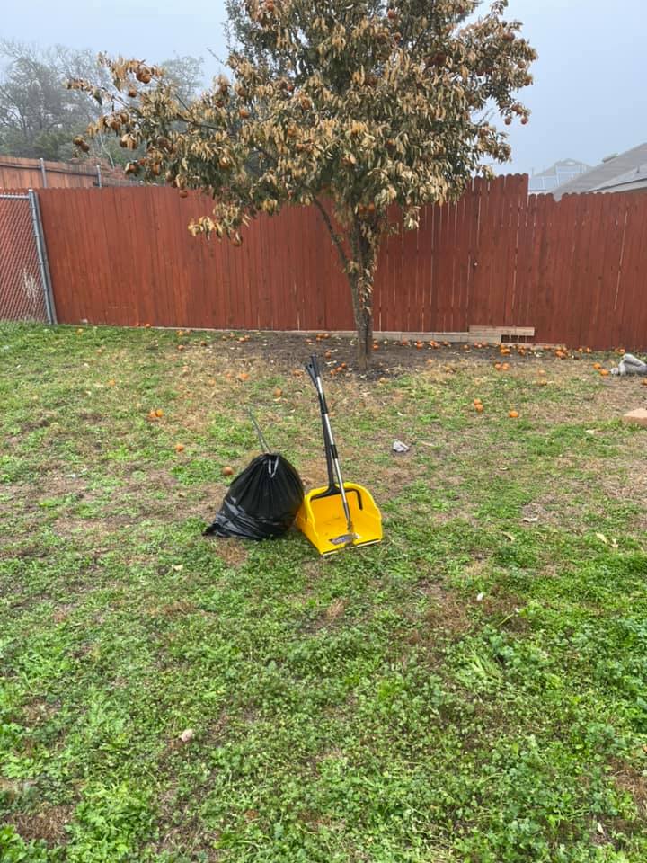 Pawfect Poop Removal - Photo 3