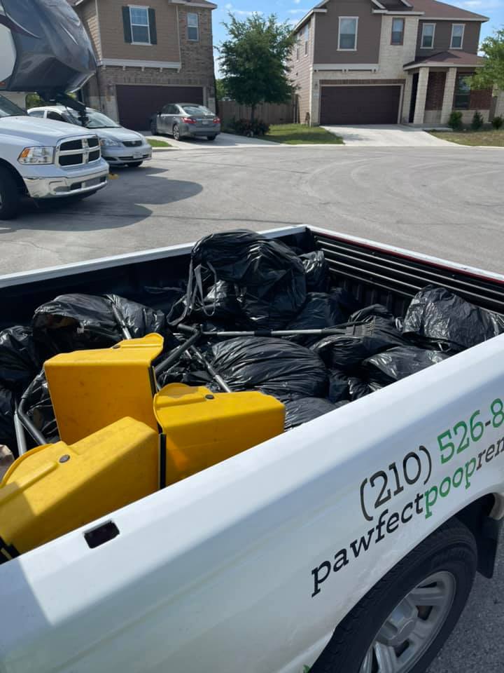 Pawfect Poop Removal - Photo 4