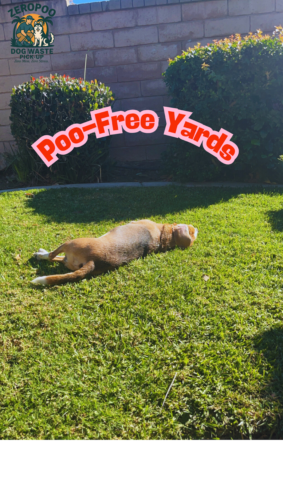 ZeroPoo Dog Waste Pick Up