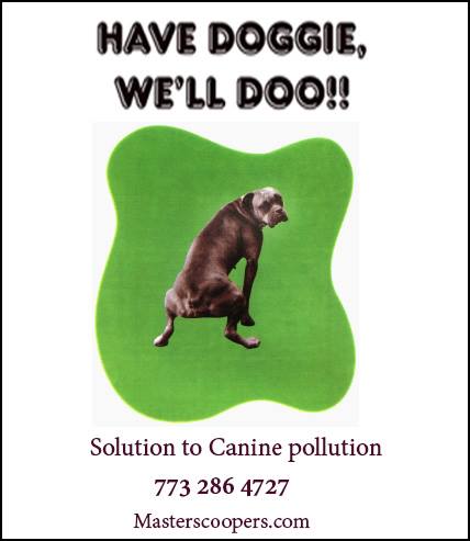 Have Doggie We'll Doo