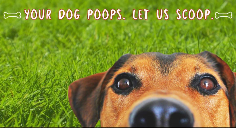 Tidy Paws Pet Waste Removal