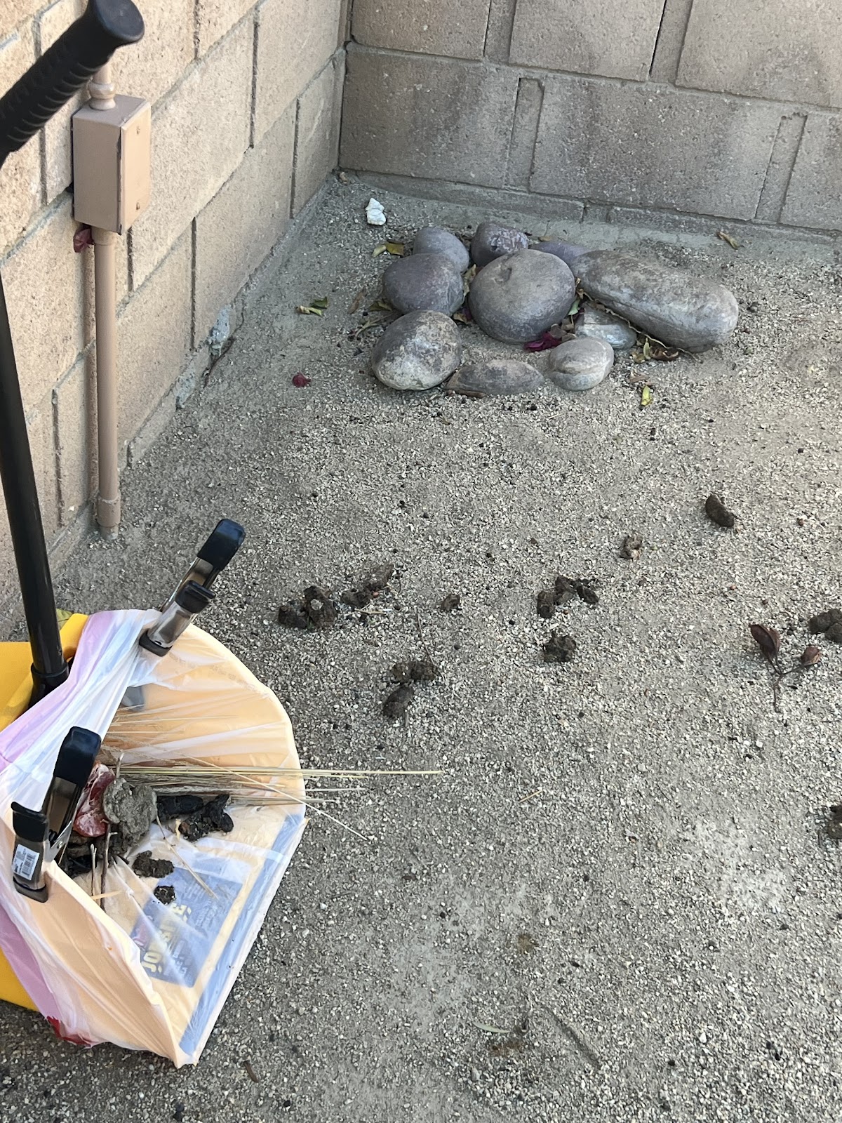 Doggie Doodie Patrol CV - Photo 2