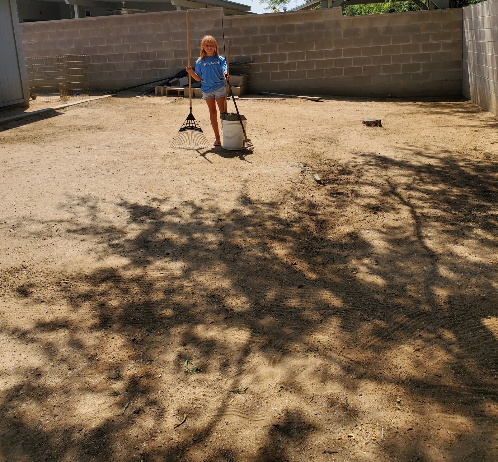 Goldin Scoopers (Poop Scooper) - Photo 3