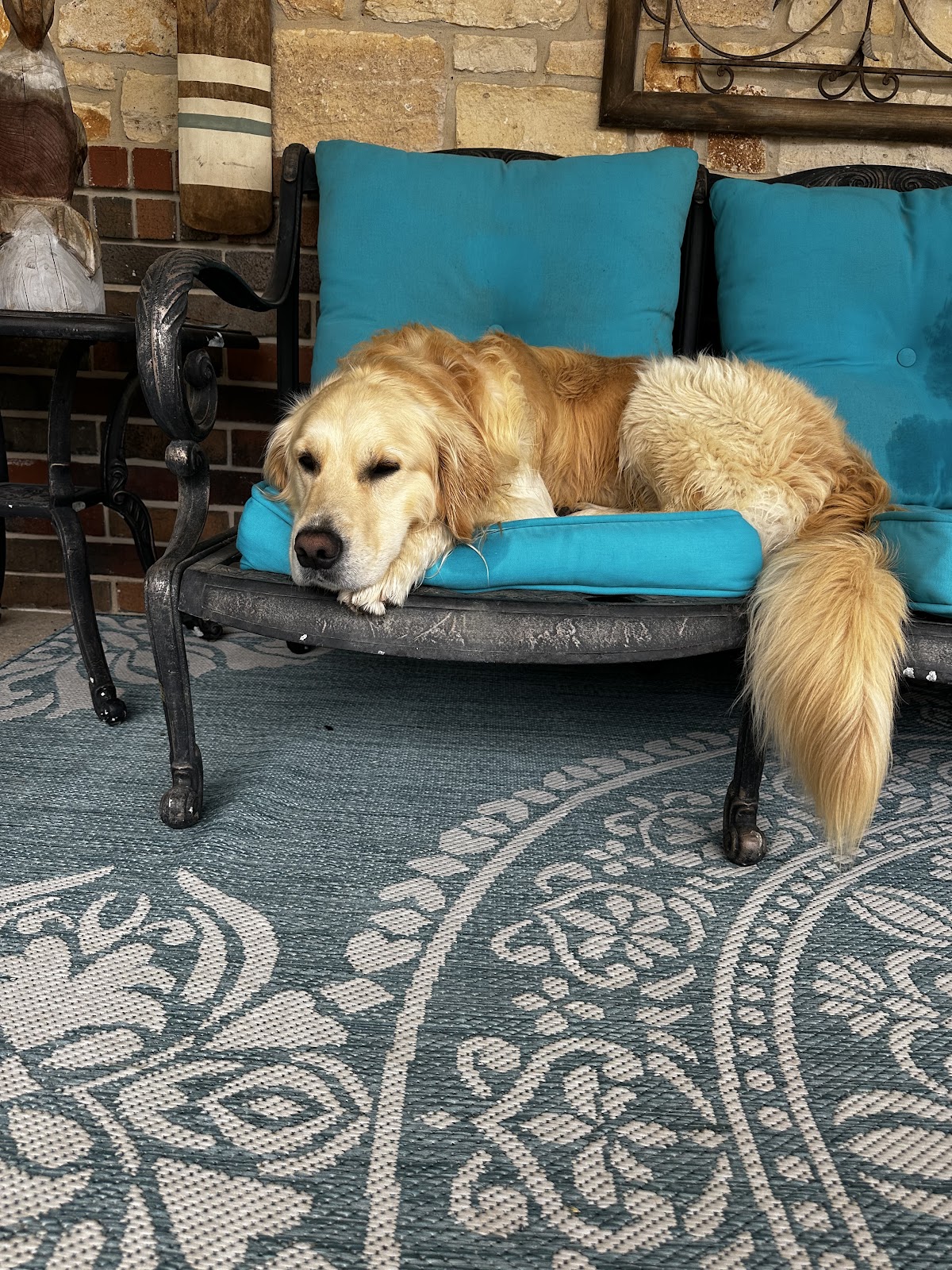 Turd Wranglers - Photo 4