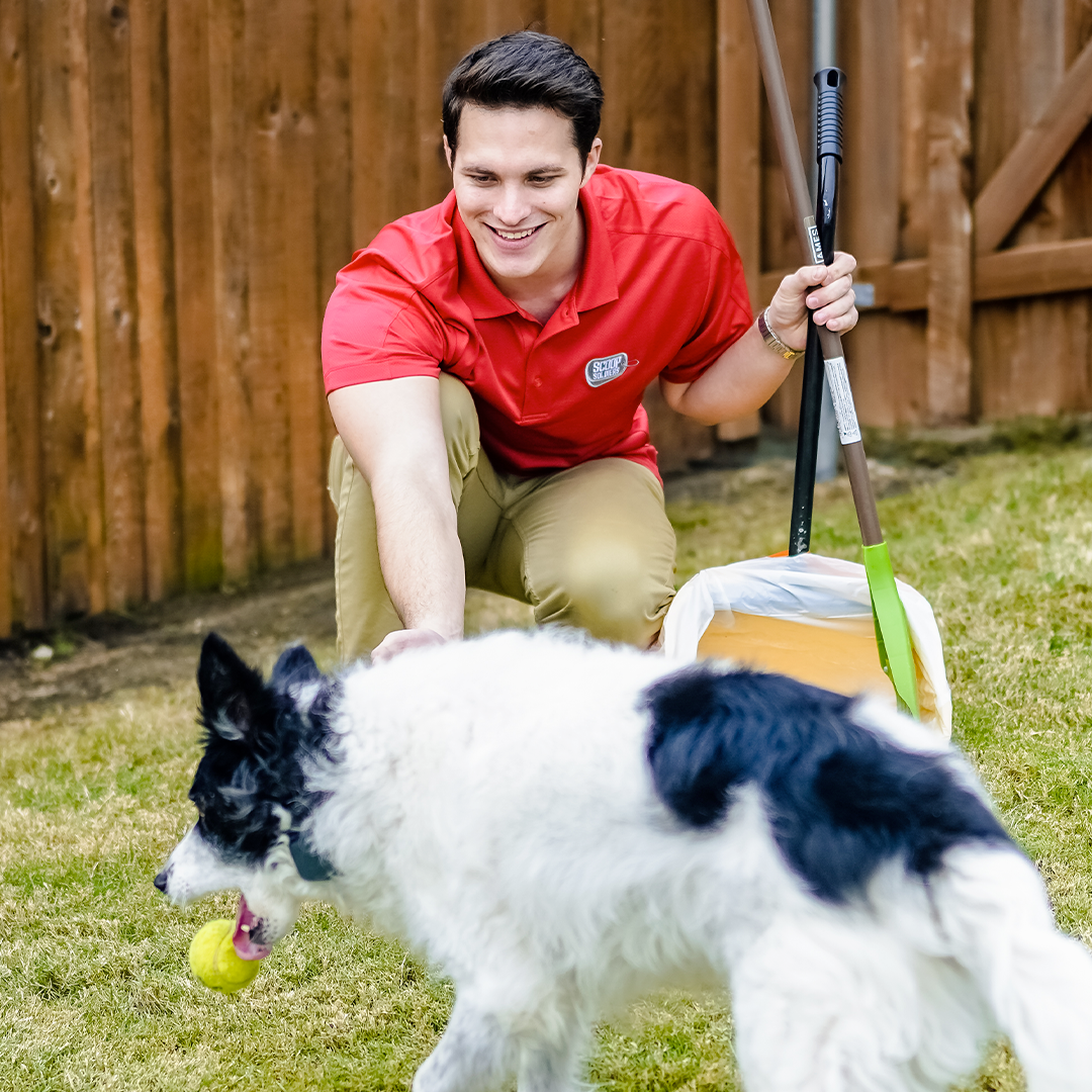 Scoop Soldiers - Dallas - Photo 3