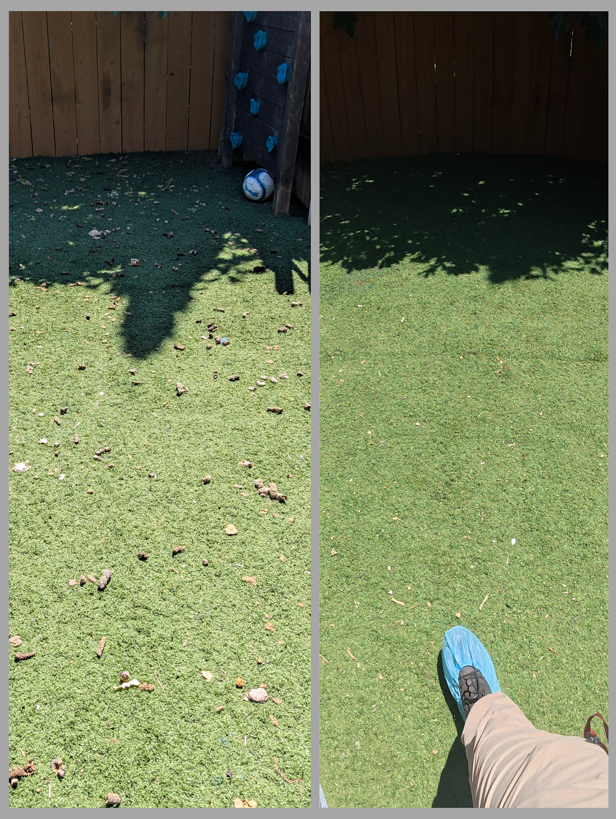 Scoop Stars San Diego