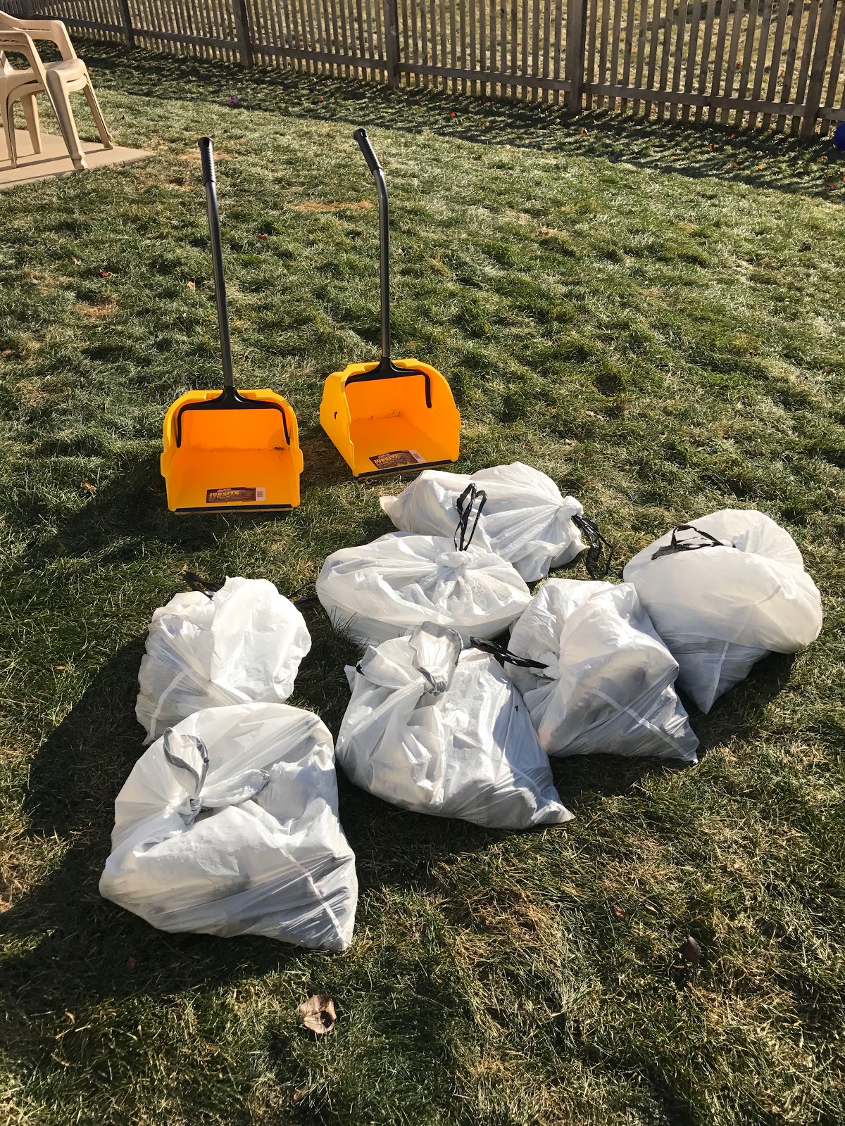 SCOOPERS - Dog Waste Removal Services - Photo 2