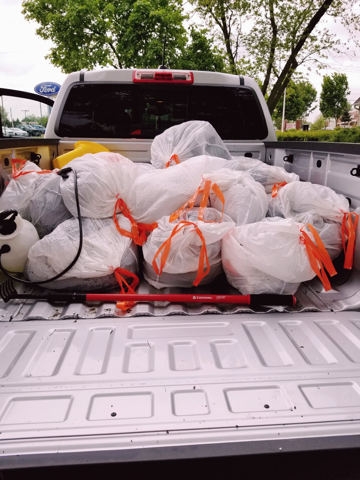 SCOOPERS - Dog Waste Removal Services - Photo 4