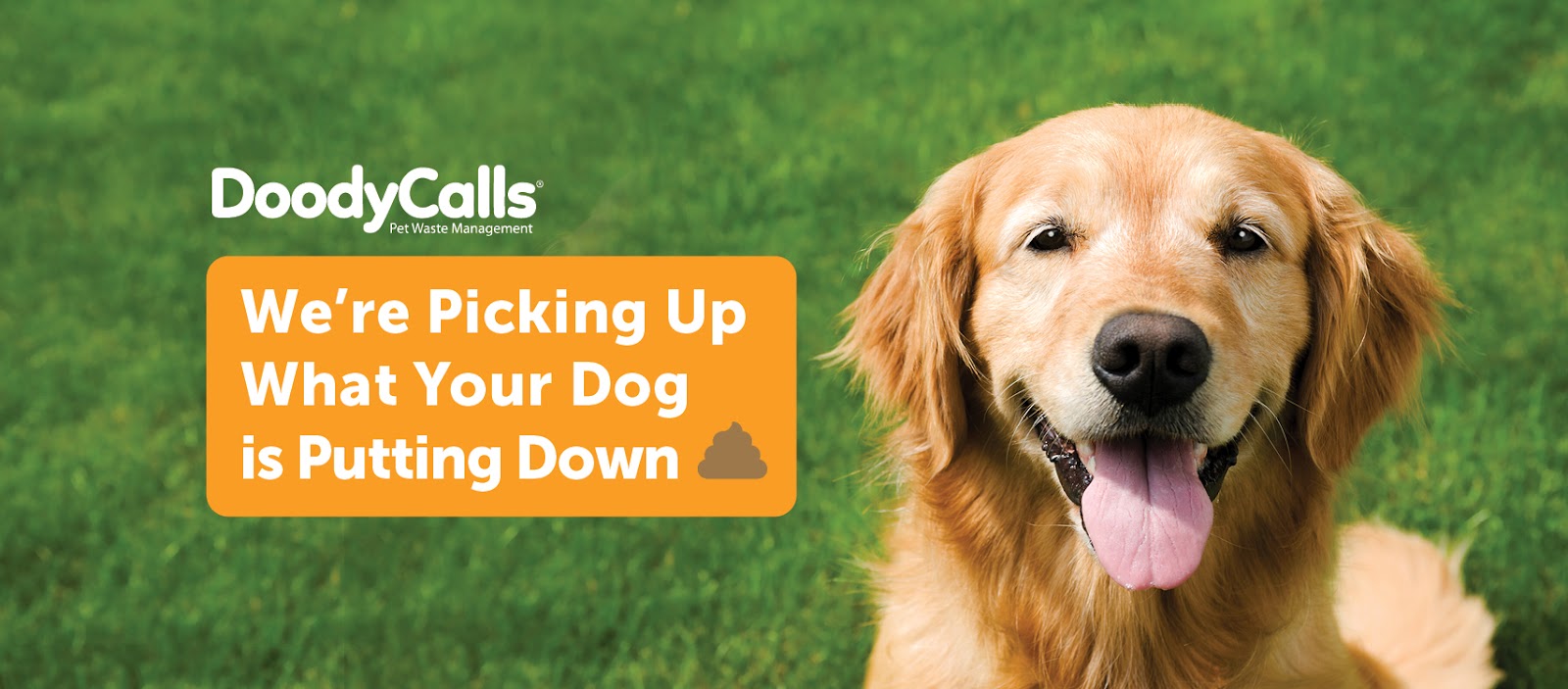 DoodyCalls® of West Metro - Photo 2