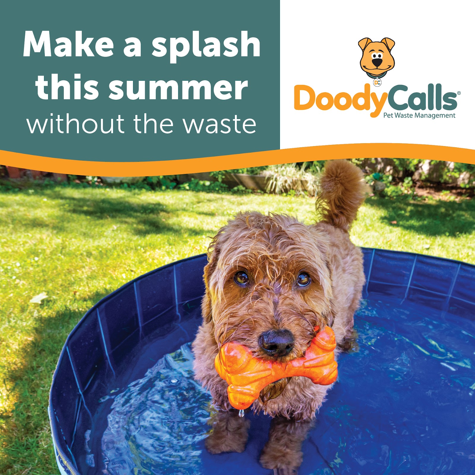 DoodyCalls® of West Metro - Photo 3